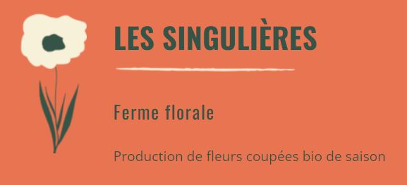 Les singulières ferme florale